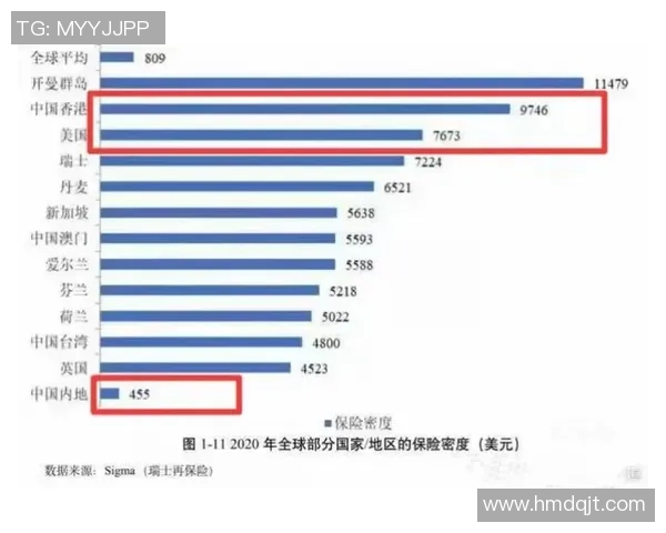 南京排球队杯赛表现分析:意识与团队协作的深度探讨