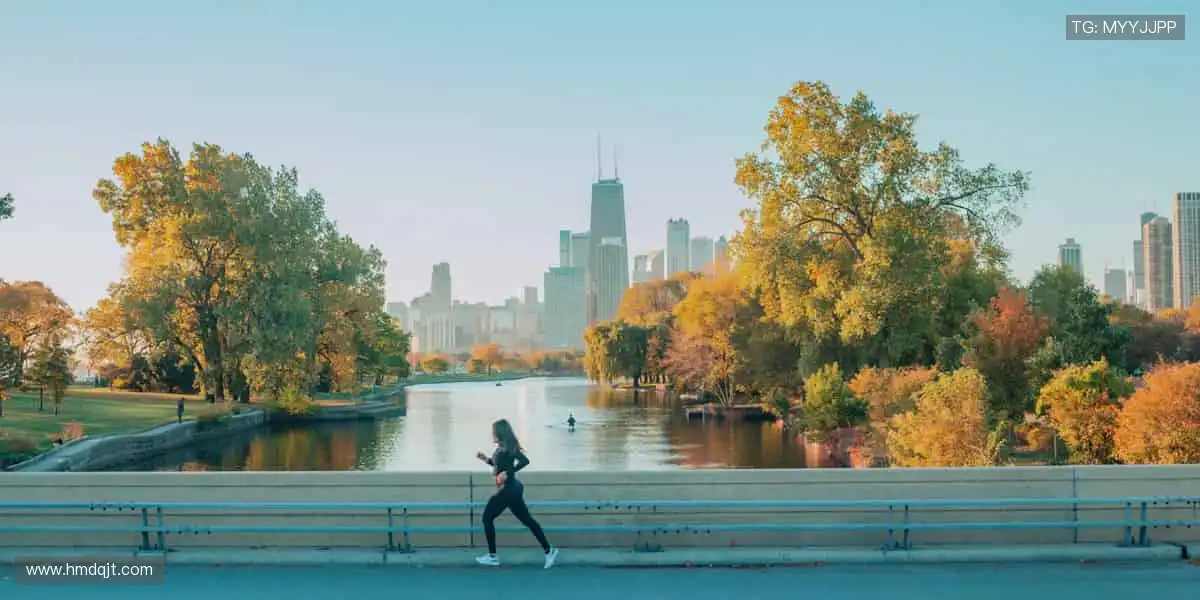 🎯 球星同款，即刻拥有！体育周边商城，解锁你的专属热爱！